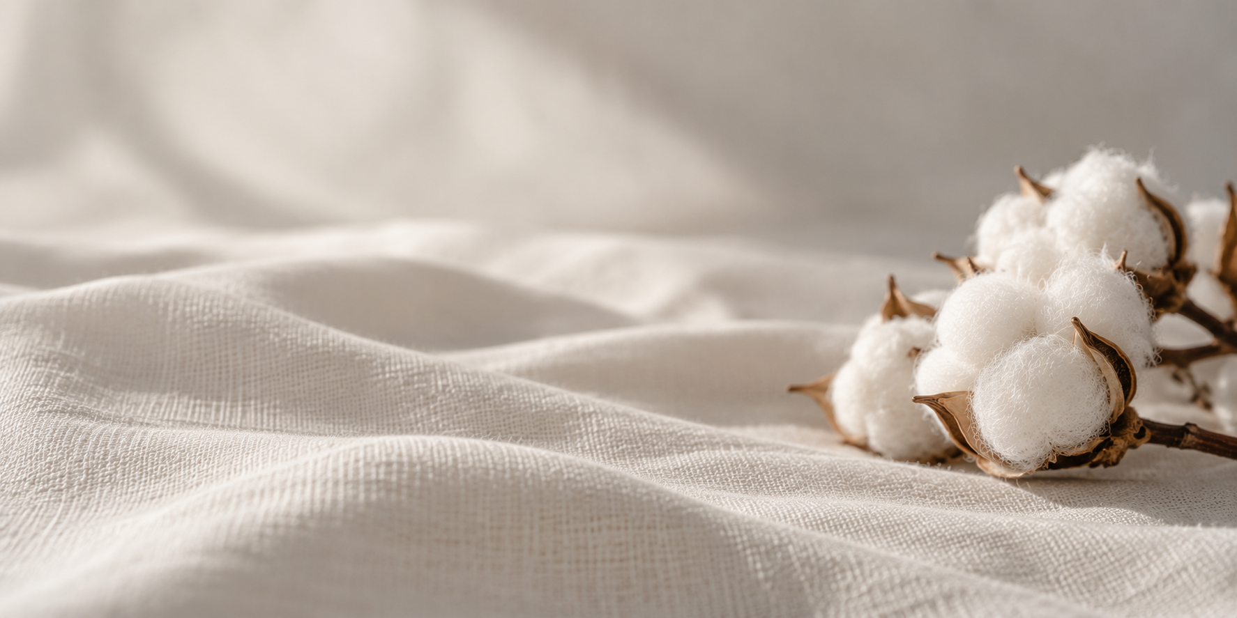 High-quality cotton fiber used in ONGI socks